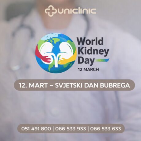 12 mart svjetski dan bubrega vizual